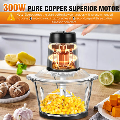 Meat Grinder 300W Electric Multi Blender – 2L Glass Container, 4 Stainless Steel Blades